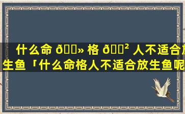 什么命 🌻 格 🌲 人不适合放生鱼「什么命格人不适合放生鱼呢」